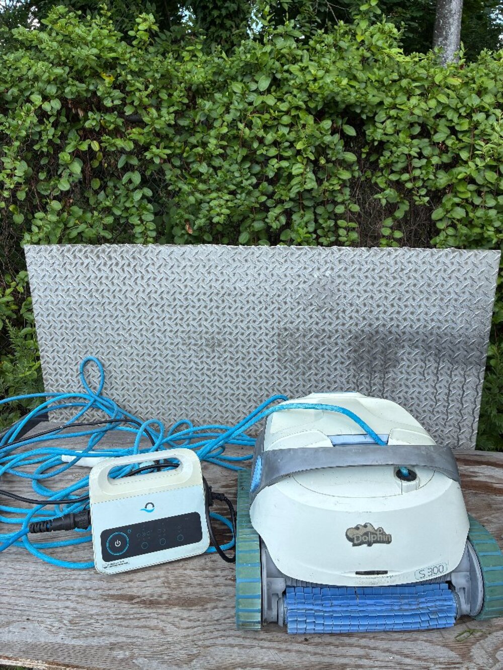 Dolphin S300 Pool Vacuum Pool Cleaner With Advanced 115 Power Supply